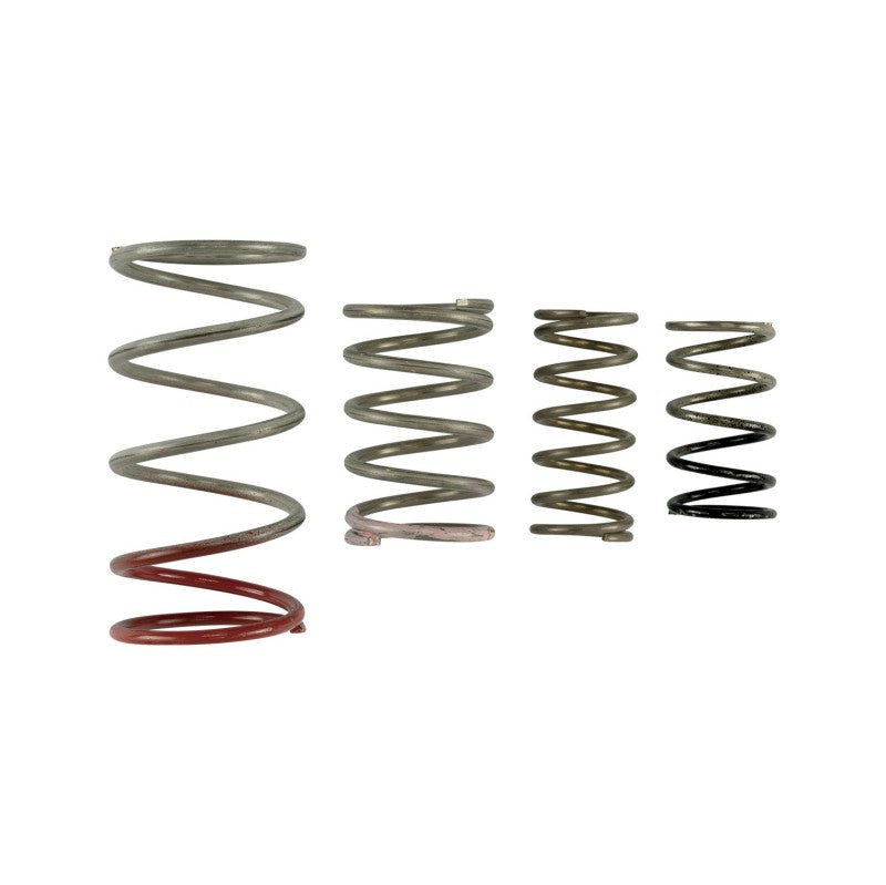 TURBOSMART TS-0600-2011 Spring Replacement Kit GenV IWG Photo-0 